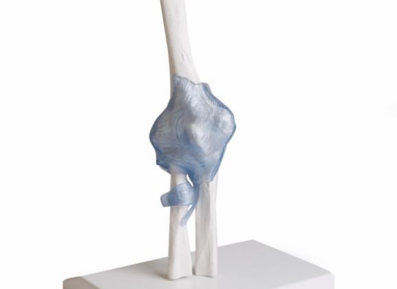 https://jayakelana.id/uploads/product/-4556-elbow-joint-with-74156c85790daab_cover.jpg