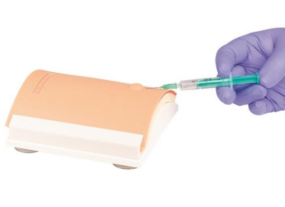 https://jayakelana.id/uploads/product/-7110-intradermal-injection-trainer-71040cd5a10e01d_cover.jpg
