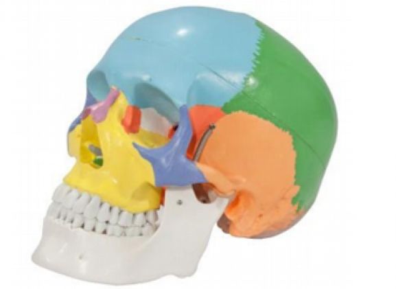 https://jayakelana.id/uploads/product/-a-104268-axis-scientific-3-part-340035bc972449c_cover.png