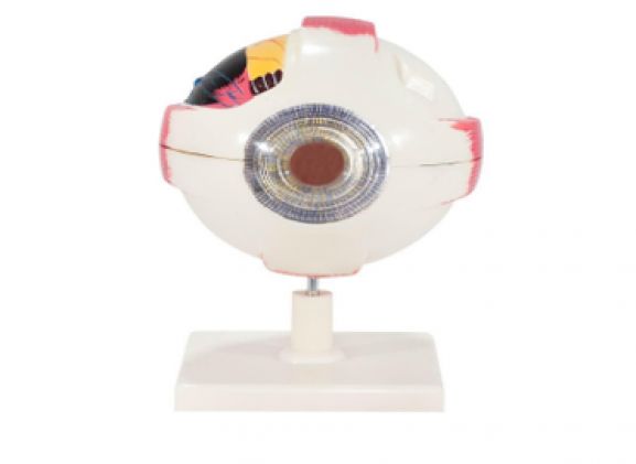 https://jayakelana.id/uploads/product/-a-104279-axis-scientific-7-bagian-23759654ed1513d_cover.png