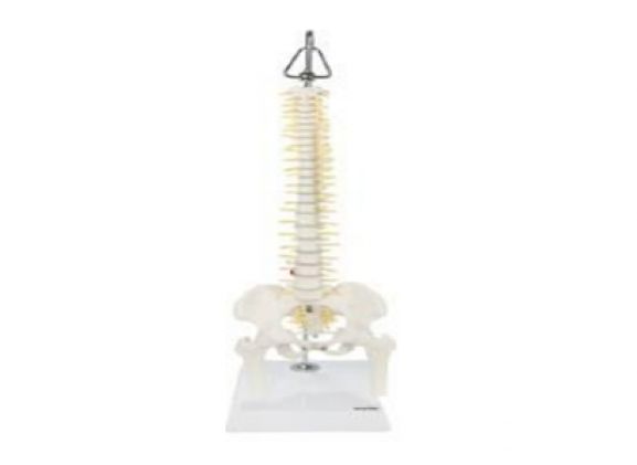 https://jayakelana.id/uploads/product/-a-105162-axis-scientific-miniature-703296a087a77e4_cover.png