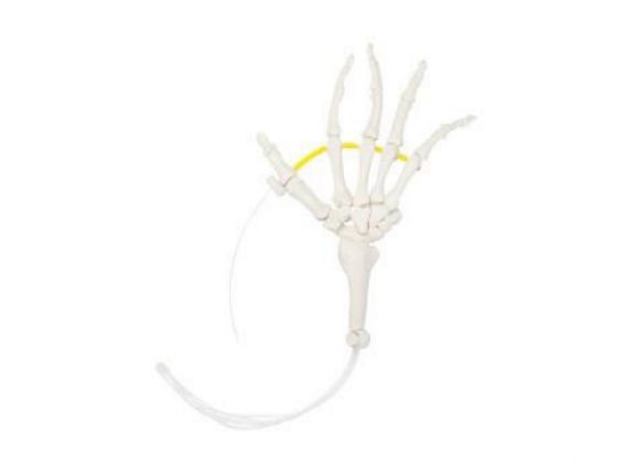 https://jayakelana.id/uploads/product/-a-105175-axis-scientific-hand-1717936b707b29d_cover.png
