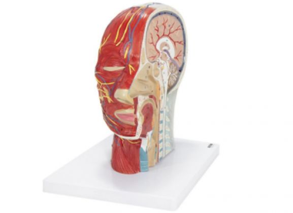 https://jayakelana.id/uploads/product/-a-105192-axis-scientific-half-9796320ee2a6720_cover.png