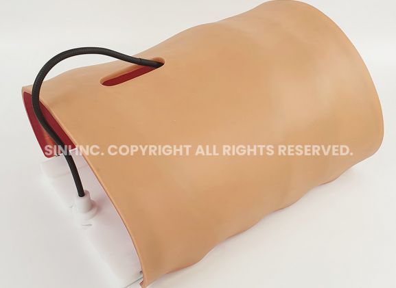 https://jayakelana.id/uploads/product/-a-lpl-01-laparoscopic-body-type-806753863c1ae61_cover.jpg