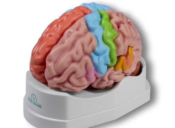 https://jayakelana.id/uploads/product/-c922-functional-and-regional-826369c034c0b46_cover.jpg