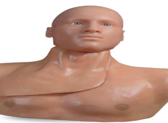 https://jayakelana.id/uploads/product/-clm-51-centralineman-system-with-48437cf9e25ace1_cover.png