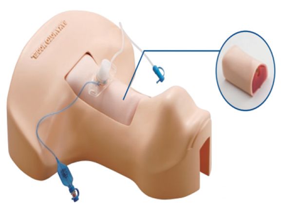 https://jayakelana.id/uploads/product/-covid-19-skill-trainer-sakamoto-727116c026dcd28_cover.png