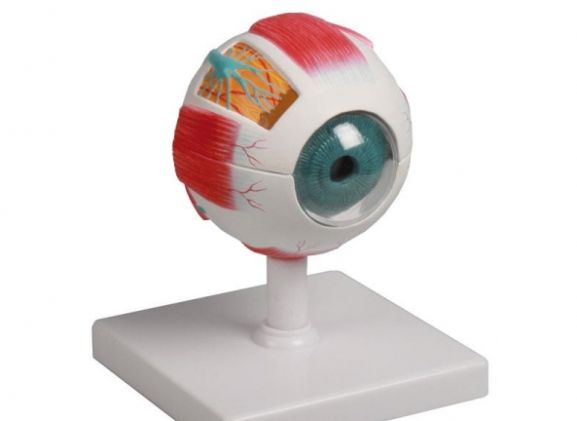 https://jayakelana.id/uploads/product/-f210-eye-model-4-922211e6e863c36_cover.jpg