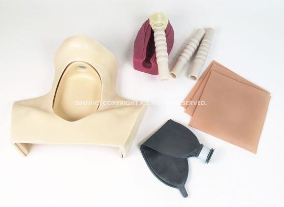 https://jayakelana.id/uploads/product/-h-tct-01-tracheotomy-trainer-98802e99a75316a_cover.jpg