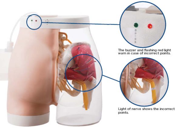https://jayakelana.id/uploads/product/-m152-intramuscular-injection-model-441343cce23994e_cover.jpg