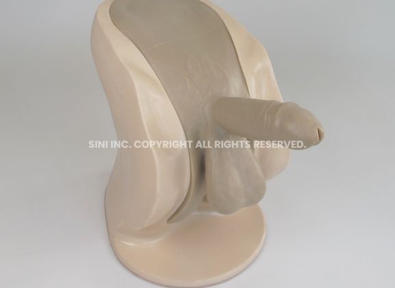 https://jayakelana.id/uploads/product/-p-ctb-01-male-catheterization-trainer-64673b17428a4c9_cover.jpg