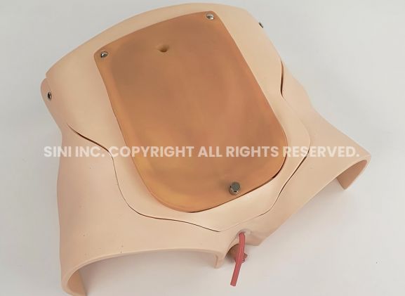 https://jayakelana.id/uploads/product/-p-prt-01-prostatectomy-trainer-intuitive-7418767aa0c10b7_cover.jpg