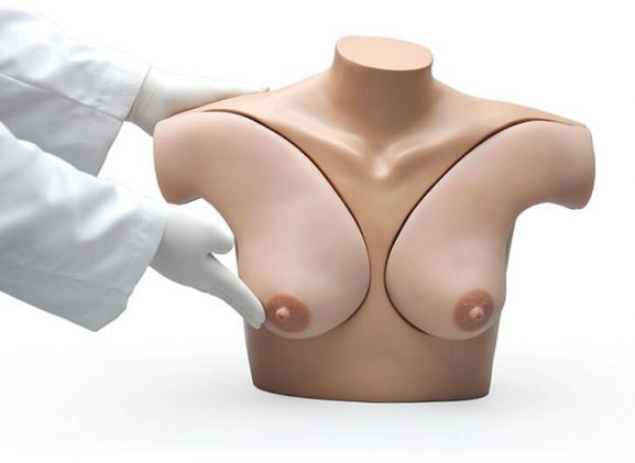 https://jayakelana.id/uploads/product/-s230-42-breast-examination-skills-4251411f61f6164_cover.jpg