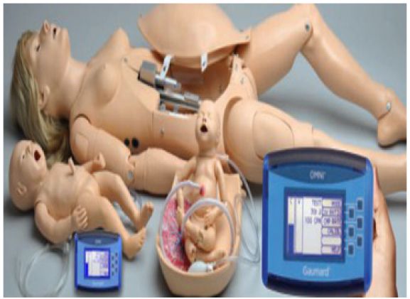 https://jayakelana.id/uploads/product/-simulator-kelahiran-noelle-maternal-49754a90e4953eb_cover.png