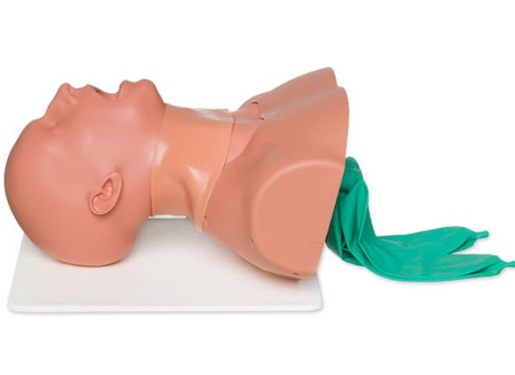 https://jayakelana.id/uploads/product/airway-man-pelatih-manajemen-52130121a7b3819_cover.png