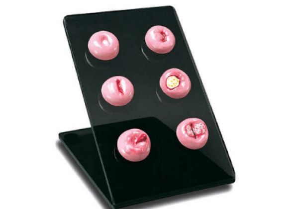https://jayakelana.id/uploads/product/cervical-replicas-s505--906936d80a06779_cover.png