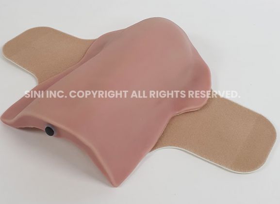 https://jayakelana.id/uploads/product/deltoid-intramuscular-injection-trainer-3618154088c3781_cover.jpg