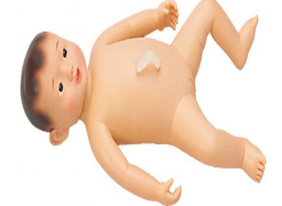 https://jayakelana.id/uploads/product/gadis-model-mandi-haruko--286618d7875da98_cover.png