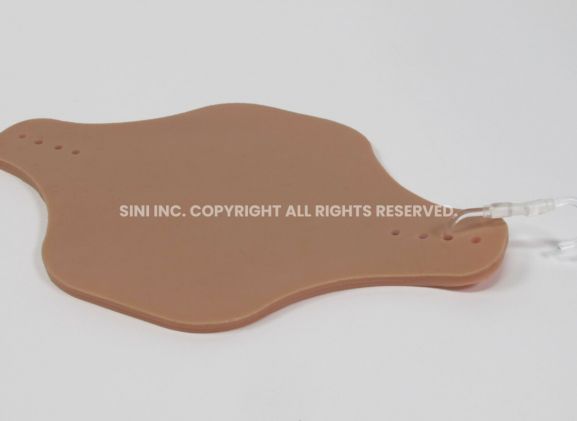 https://jayakelana.id/uploads/product/intradermal-injection-trainer-519593d4b767eb2_cover.jpg