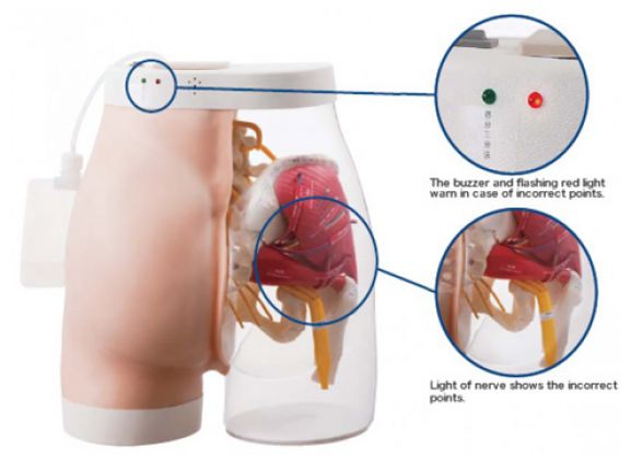 https://jayakelana.id/uploads/product/intramuscular-injection-model-of-17666f9d6a25123_cover.png