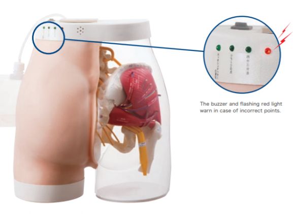 https://jayakelana.id/uploads/product/intramuscular-injection-model-of-5833681713cf65b_cover.png
