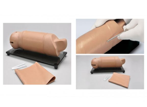 https://jayakelana.id/uploads/product/lengan-pelatihan-implan-reproduksi-66445a54815d81b_cover.png