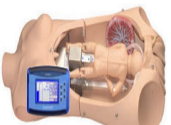 https://jayakelana.id/uploads/product/noelle-birthing-torso-dengan-83138c1b4c9c1d7_cover.png