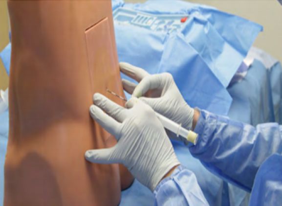 https://jayakelana.id/uploads/product/pelatih-epidural-lumbar-le-30--910026af868330e_cover.png