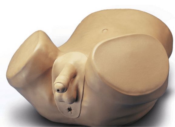https://jayakelana.id/uploads/product/pelatih-keterampilan-prostat-laki-laki-45323e6090e8b45_cover.png