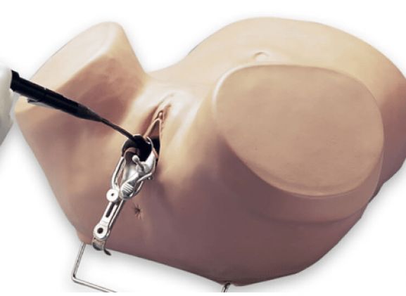 https://jayakelana.id/uploads/product/simulator-histeroskopi-s607--263359ce9a52b9f_cover.png