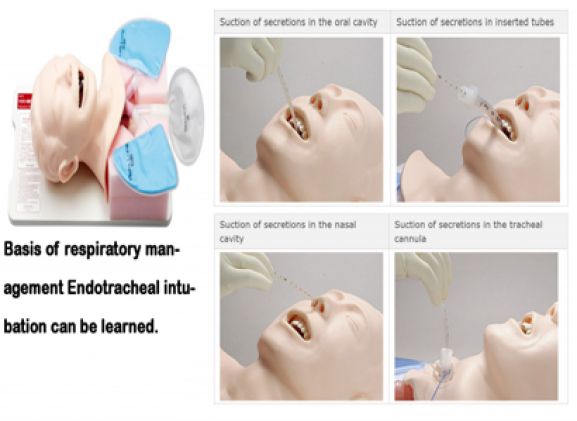 https://jayakelana.id/uploads/product/simulator-penghisap-sakamoto-m175--55471a09ea94b23_cover.png