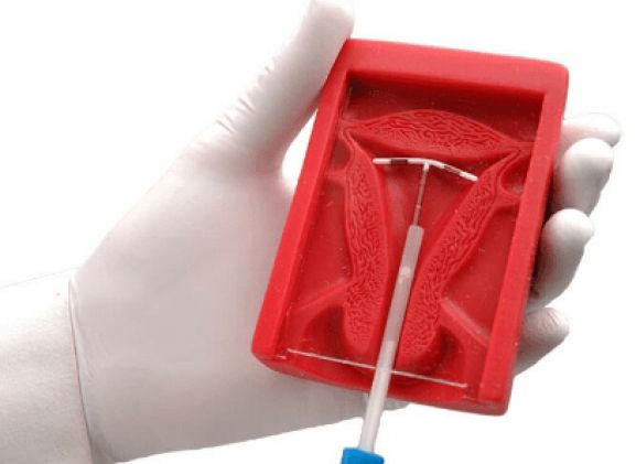 https://jayakelana.id/uploads/product/uterus-ii-iud-placement-13744b31b02c2be_cover.png