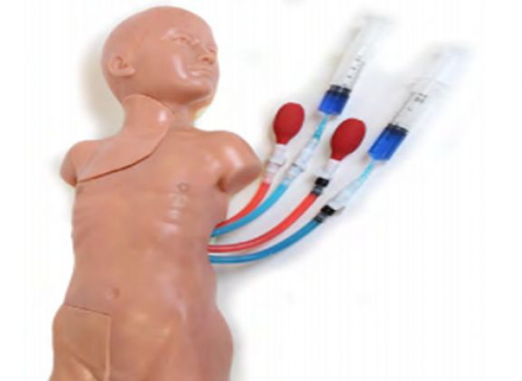 https://jayakelana.id/uploads/product/vascular-access-child-replaceable-19418979a20a7c9_cover.png